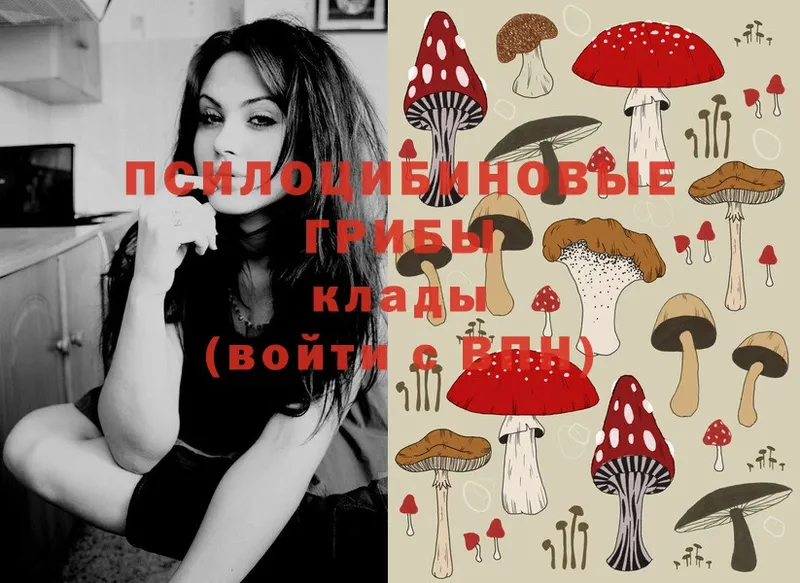 мега ССЫЛКА  Исилькуль  Псилоцибиновые грибы Magic Shrooms 